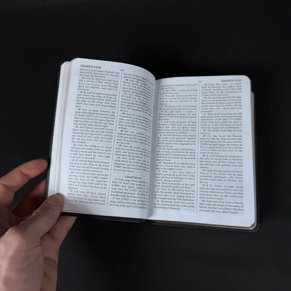 KJV The Holy Bible by James (2013, leather cover) compact